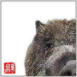 2007inoshishi.png